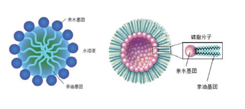 洗涤原料有哪些