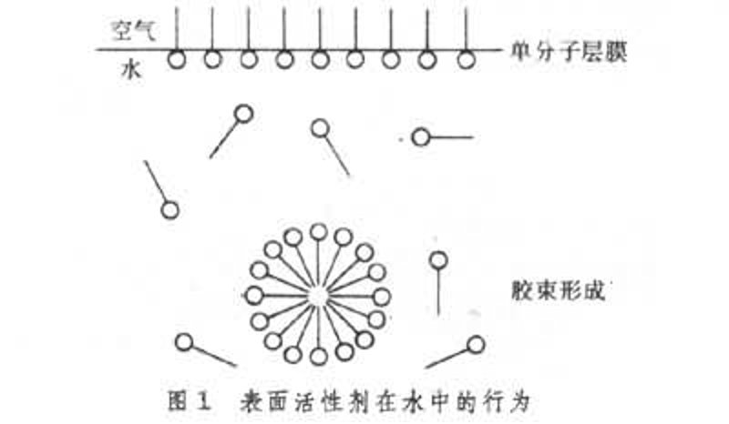 在众多的洗涤行业中，选择合适的洗涤原料至关重要。本篇文章将深入解析常见洗涤原料的特点、应用场景及其优缺点，帮助你更好地理解并选择适合自己的产品。
